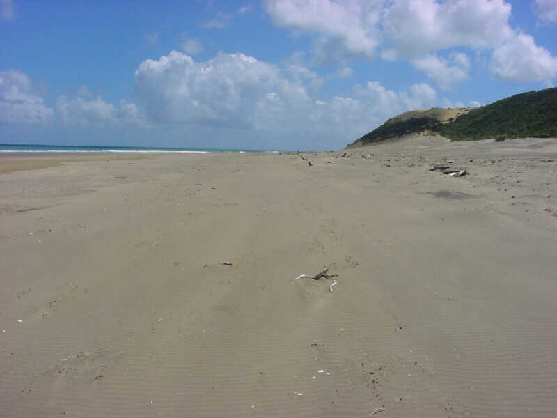 Onto the beach.