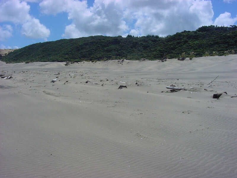 The sand is very variable