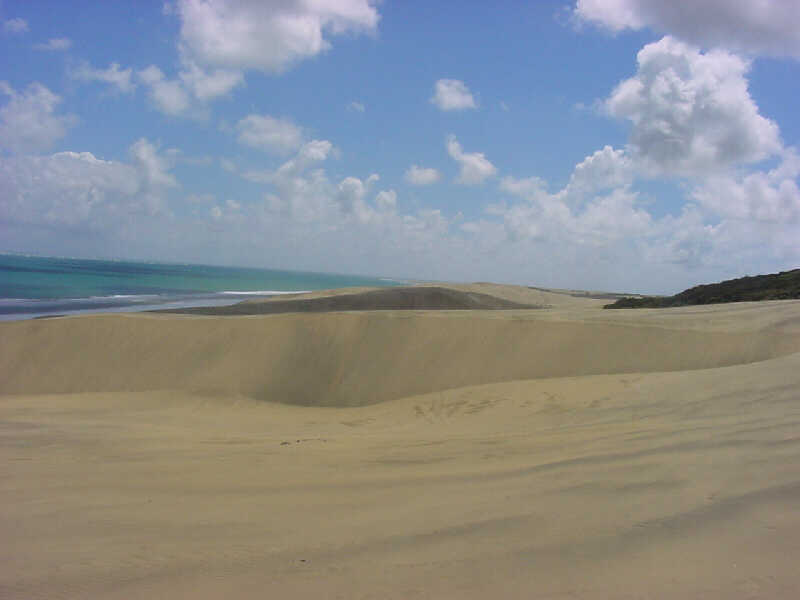 In the dunes below the now disused Pouto lighthouse