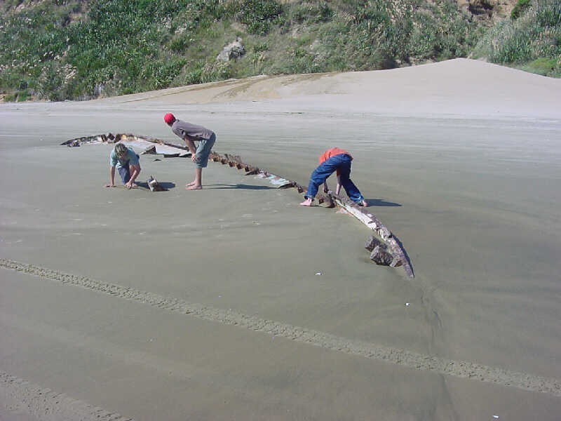 Wrecks are often exposed by wind and tide