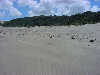 The sand is very variable