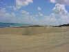 In the dunes below the now disused Pouto lighthouse
