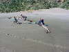 Wrecks are often exposed by wind and tide