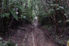 DSC00028