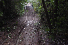 DSC00029