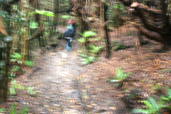 IMG_2470