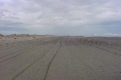 DSC00359