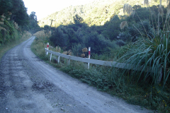 DSC01186