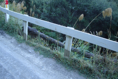 DSC01187
