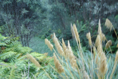 DSC01188