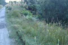 DSC01189