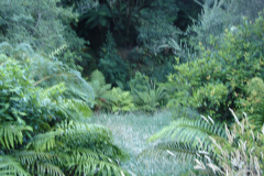 DSC01190