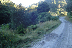 DSC01191