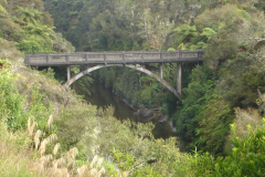 DSC01194