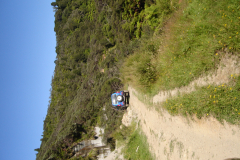 DSC01196