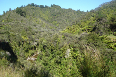 DSC01204