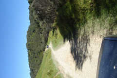 DSC01206