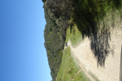 DSC01207