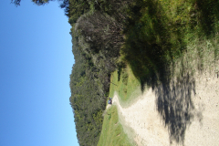 DSC01208