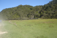DSC01209
