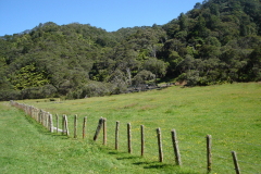 DSC01210