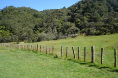 DSC01211