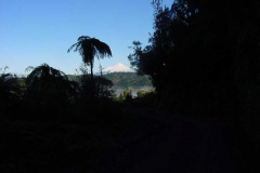 PC00009