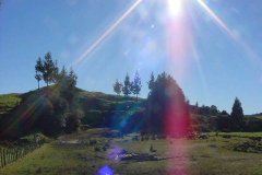 PC00034