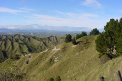 PC00185