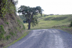 PC00209