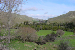 PC00216