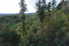 PC00026