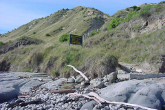 TR08423