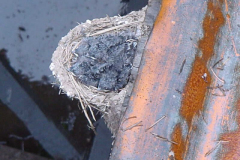 PC01124