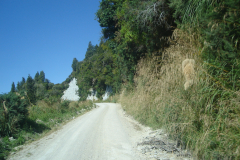 Whangamomona 2009