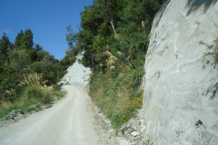 DSC01245