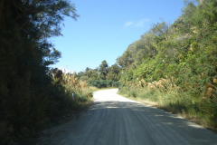 DSC01246