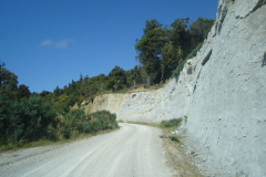 DSC01247