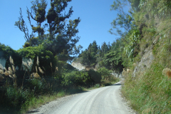 DSC01248