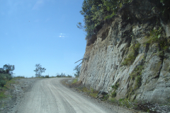 DSC01249