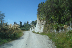 DSC01250