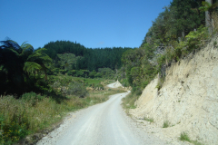 DSC01251