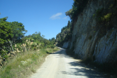 DSC01252