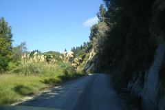 DSC01253