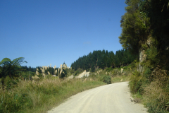 DSC01254