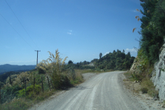 DSC01256