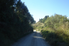 DSC01259