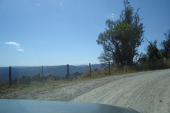 DSC01260