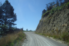 DSC01261
