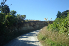 DSC01262